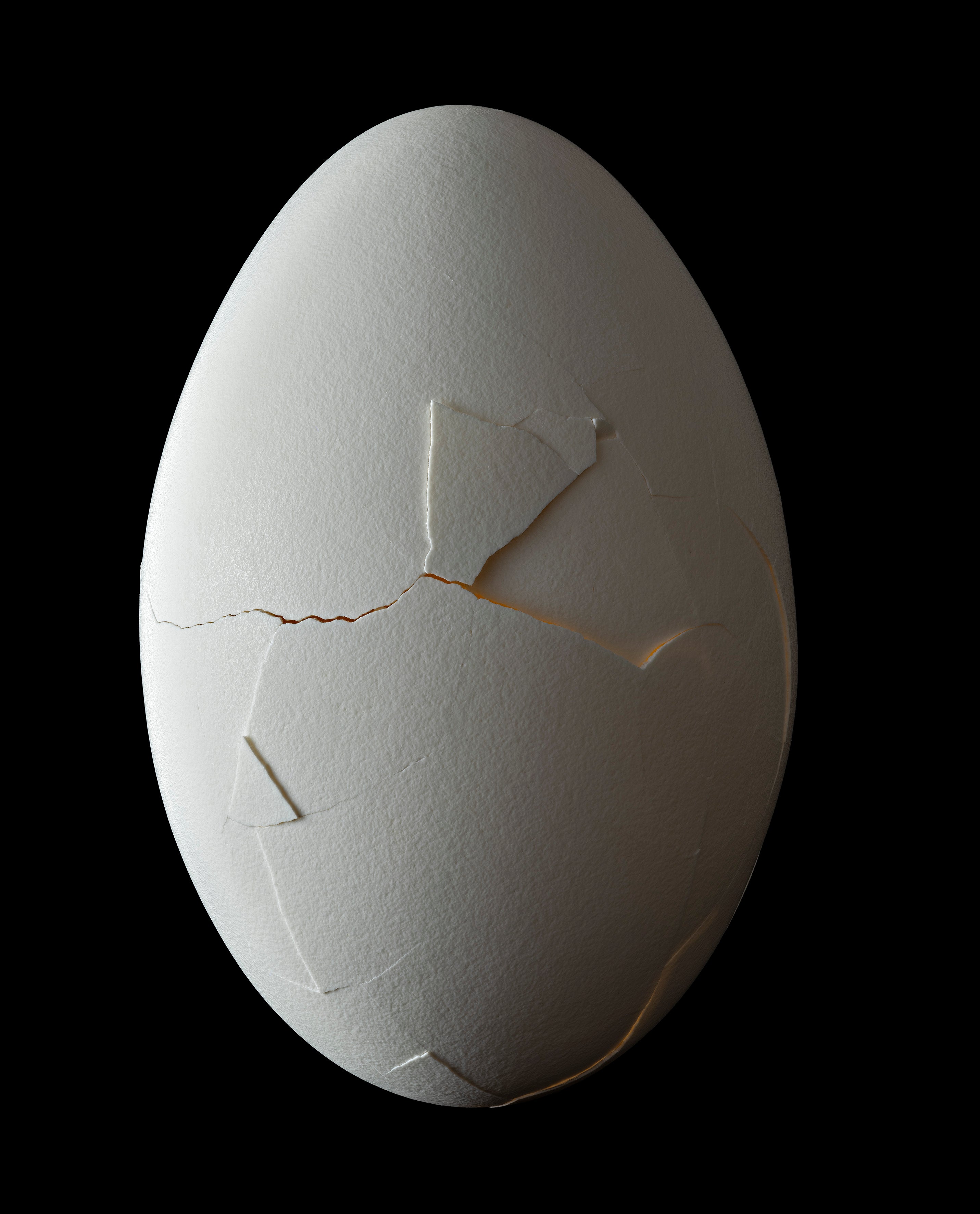 NATHALIA EDENMONT, Out of the Sacred Round (2025)