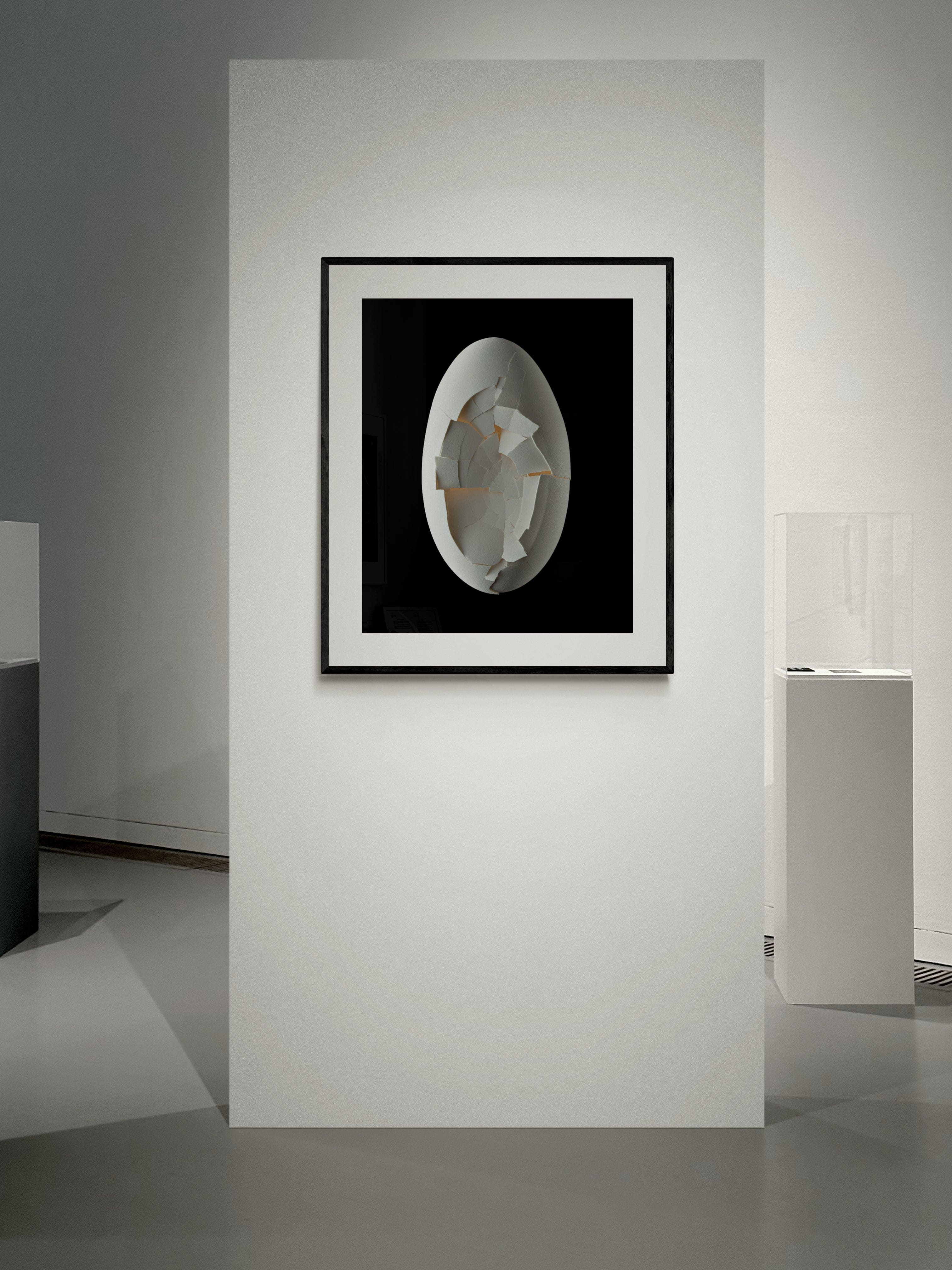 NATHALIA EDENMONT, Out of Flow, 2024