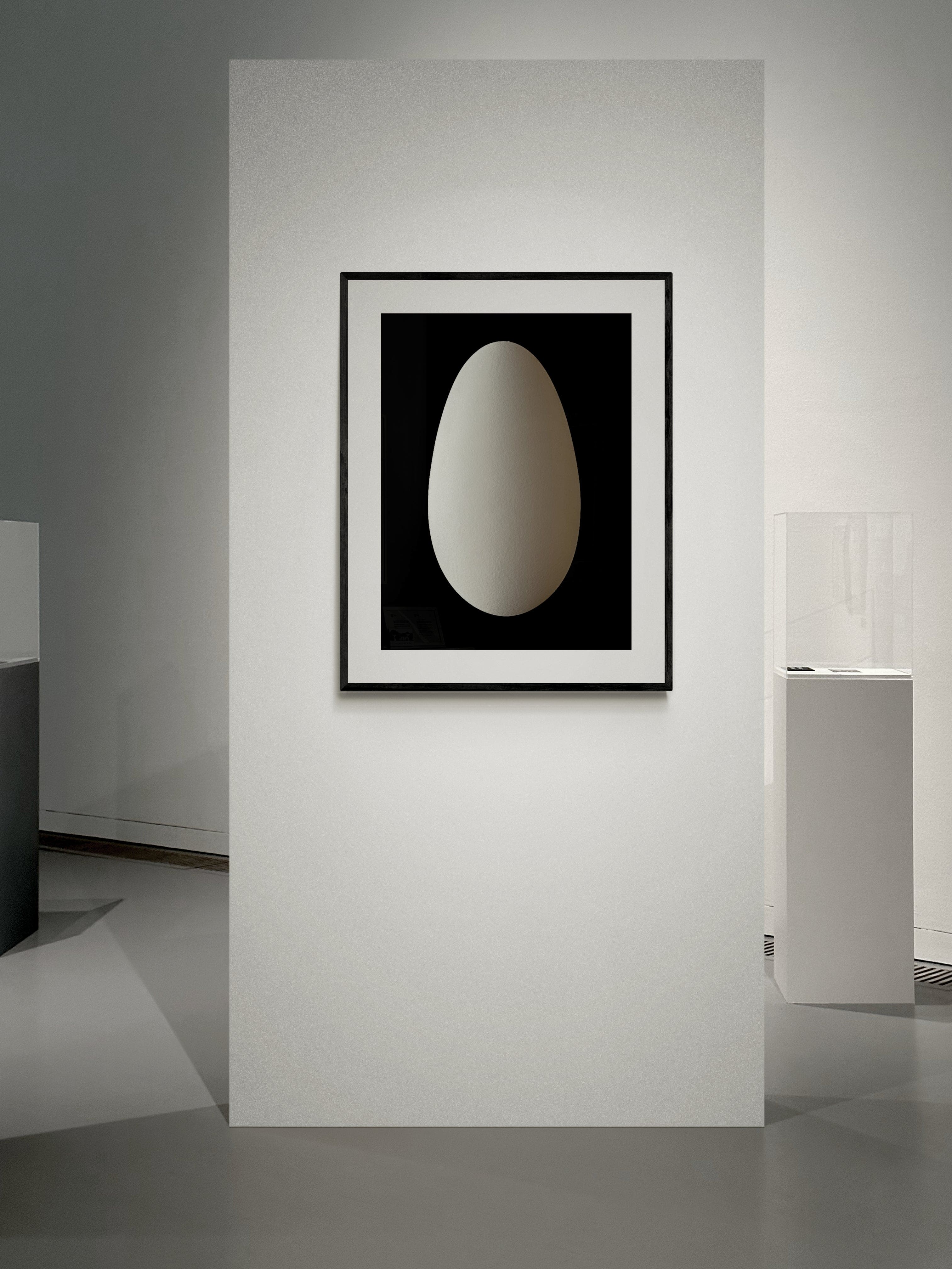 NATHALIA EDENMONT, Out of Celestial Perfection, 2024