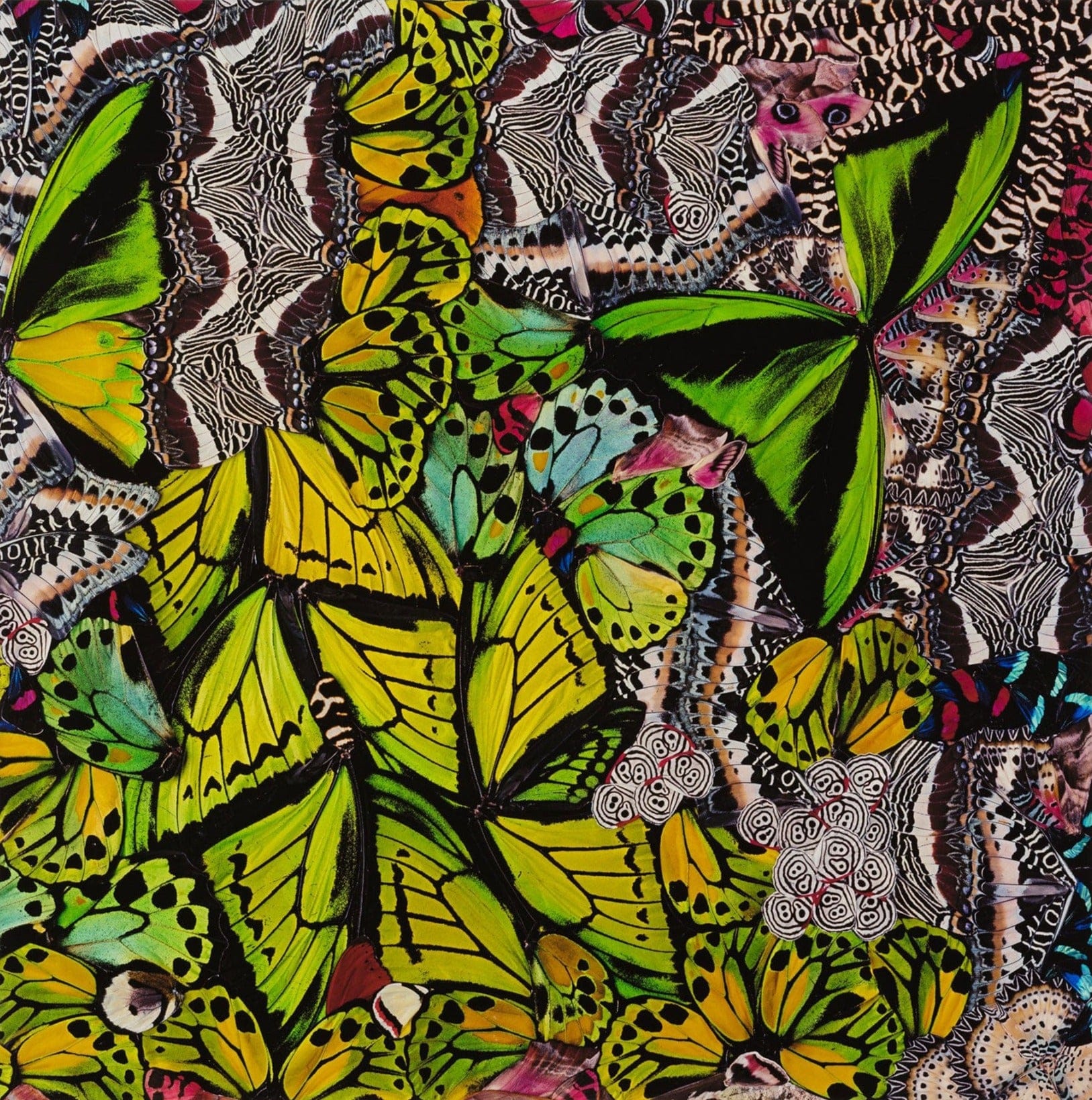 NATHALIA EDENMONT, Emotions, 2014